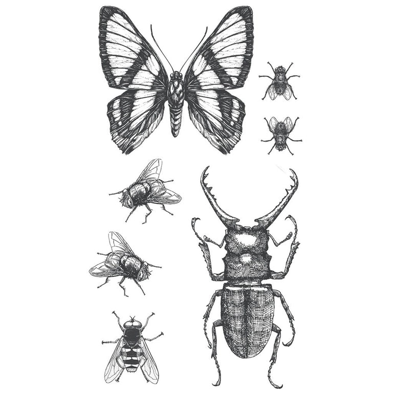 Tatouage éphémère : Insects - Pack - ArtWear Tattoo - Tatouage temporaire