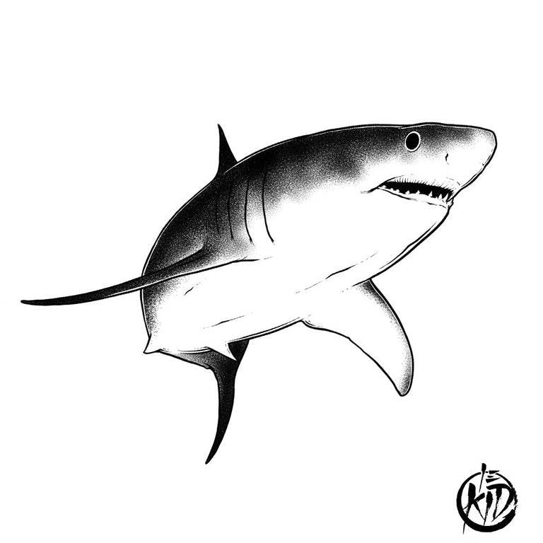 Tatouage éphémère : Shark - by Le Kid - ArtWear Tattoo - Tatouage temporaire