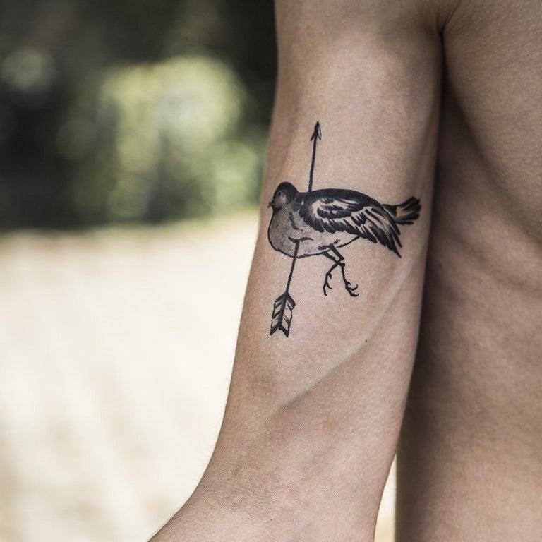 Tatouage éphémère : Dead Bird Pack - ArtWear Tattoo - Tatouage temporaire