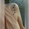 Tatouage éphémère : Lil Birds - ArtWear Tattoo - Tatouage temporaire
