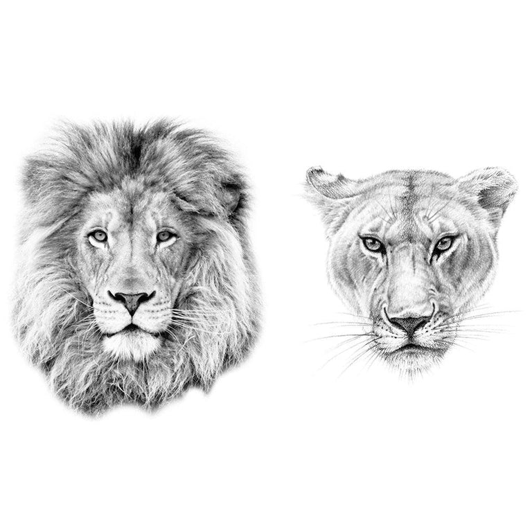 Tatouage éphémère : Lion Couple - ArtWear Tattoo - Tatouage temporaire