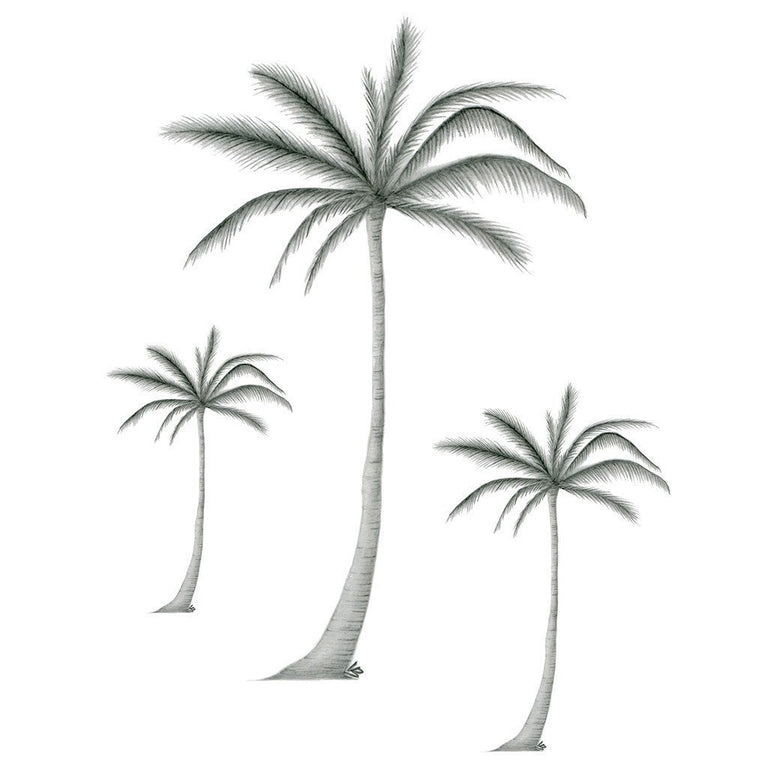 Palm Tree by Peter Orban on Dribbble