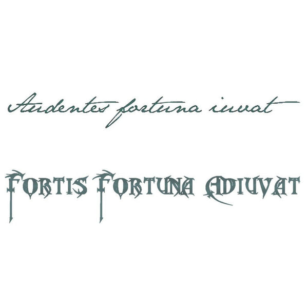 Fortune favors the bold - Latin